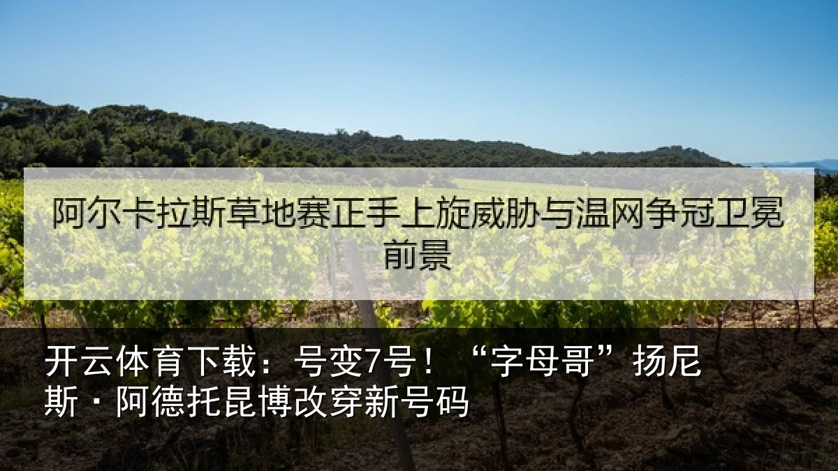 开云体育下载:号变7号!“字母哥”扬尼斯·阿德托昆博改穿新号码