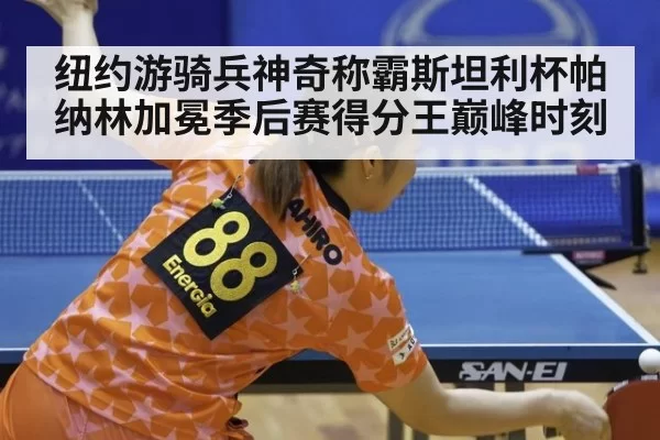 纽约游骑兵神奇称霸斯坦利杯帕纳林加冕季后赛得分王巅峰时刻